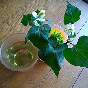 5分！？とても飲み易い❤ドクダミ茶風ヘルシー番茶♪